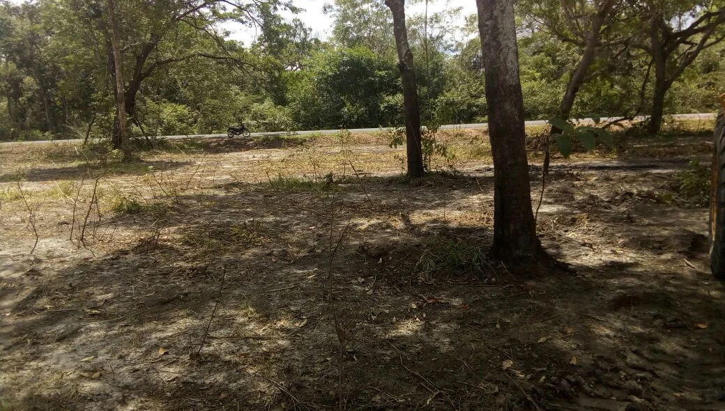Área de preservação desmatada para a construção de Parque de Vaquejada