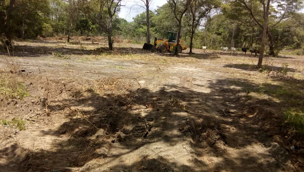 Área de preservação do assentamento Votorantim sendo desmatada para a construção de Parque de Vaquejada