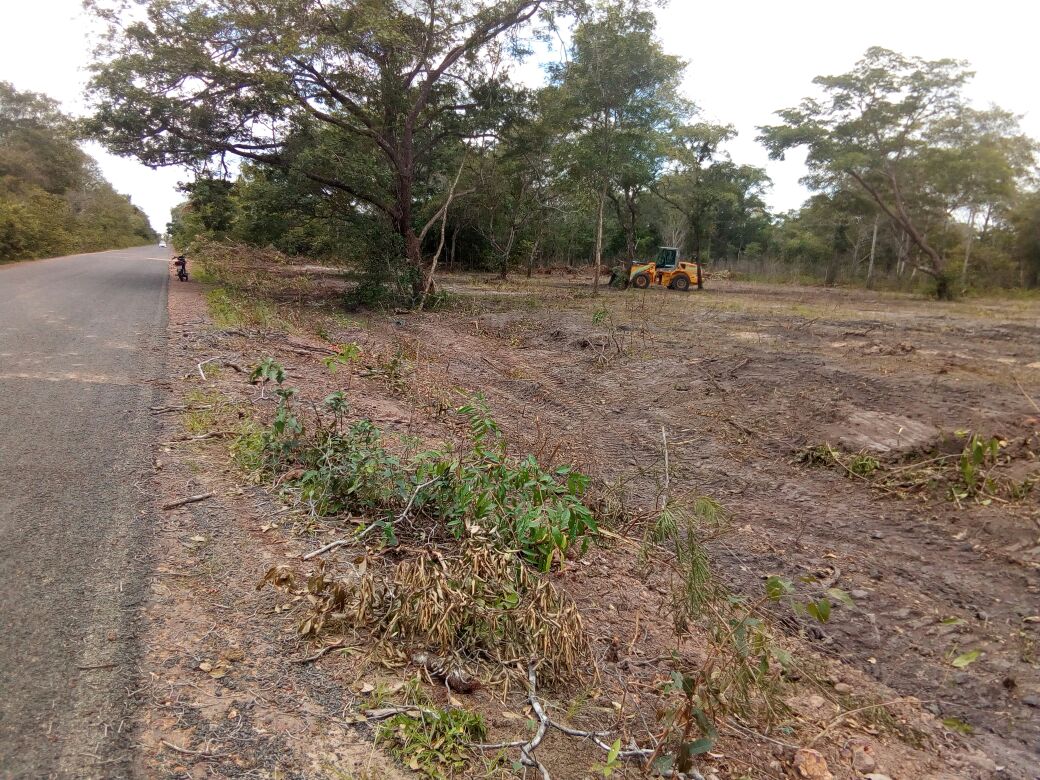 Máquina da prefeitura desmatando a área de preservação ambiental
