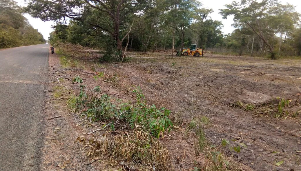Máquina da prefeitura desmatando a área de preservação ambiental