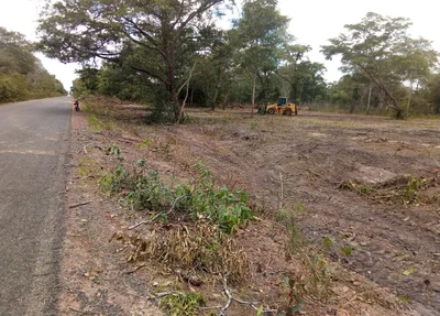 Máquina da prefeitura desmatando a área de preservação ambiental