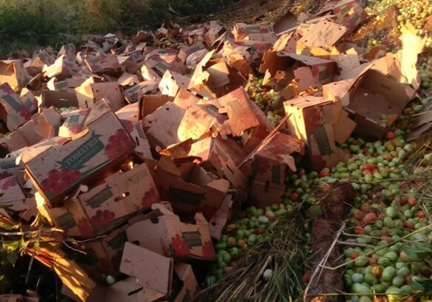 Caixotes de tomate ficaram jogados na rodovia.