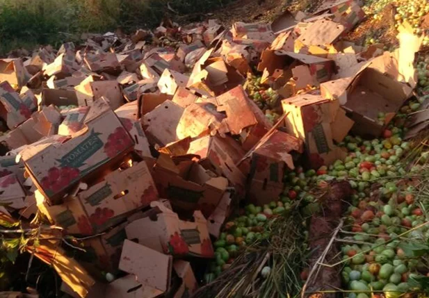 Caixotes de tomate ficaram jogados na rodovia.