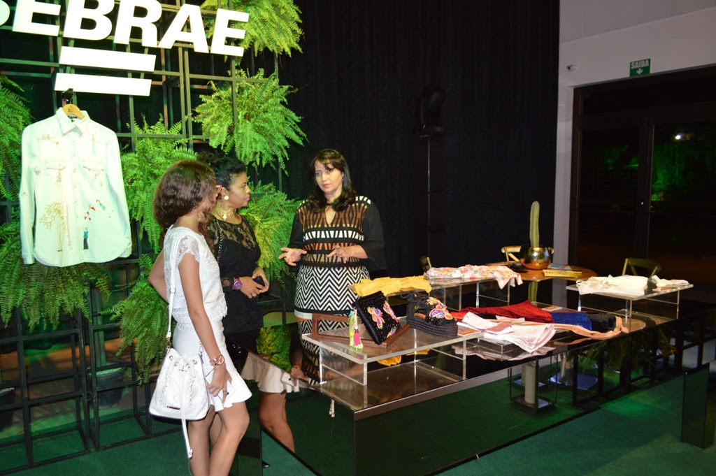 A gerente da Unidade Estadual de Indústria do Sebrae no Piauí, Mirna Rocha, fala sobre as ações do Sebrae.
