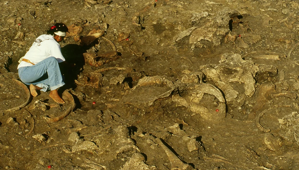 Escavacão paleontologica na Serra da Capivara