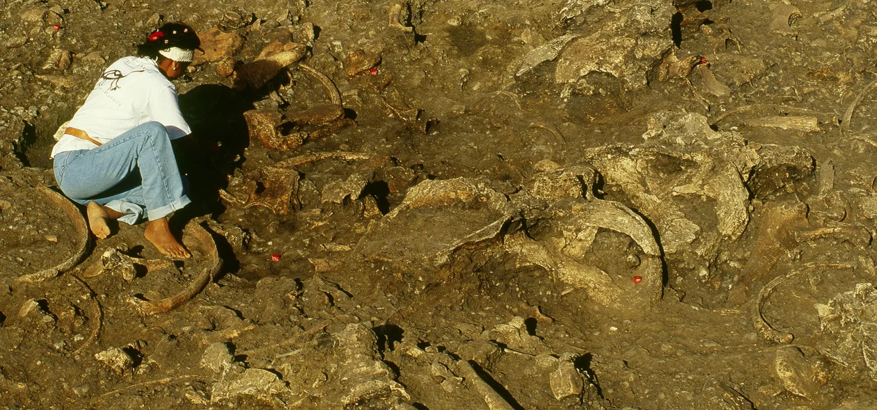 Escavacão paleontologica na Serra da Capivara