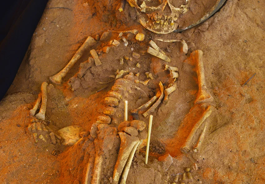 Esqueleto parcialmente escavado do Sítio Toca do Gongo III