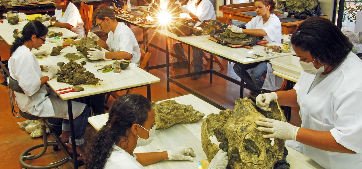 Exposicão Alemanha 2017 André Pessoa - laboratório megafauna fumdham