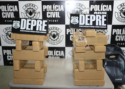Entorpecentes apreendidos