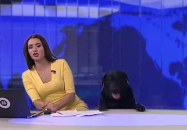 Cão interrompe telejornal ao vivo na Rússia
