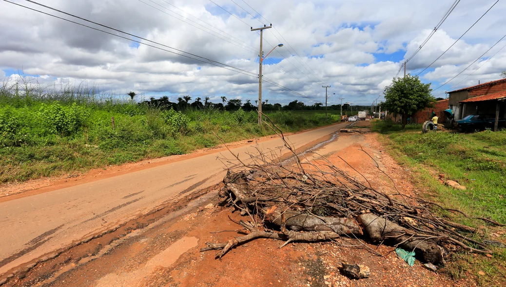 Moradores jogam resto de árvores e entulhos na rua para evitar poeiras em suas casas