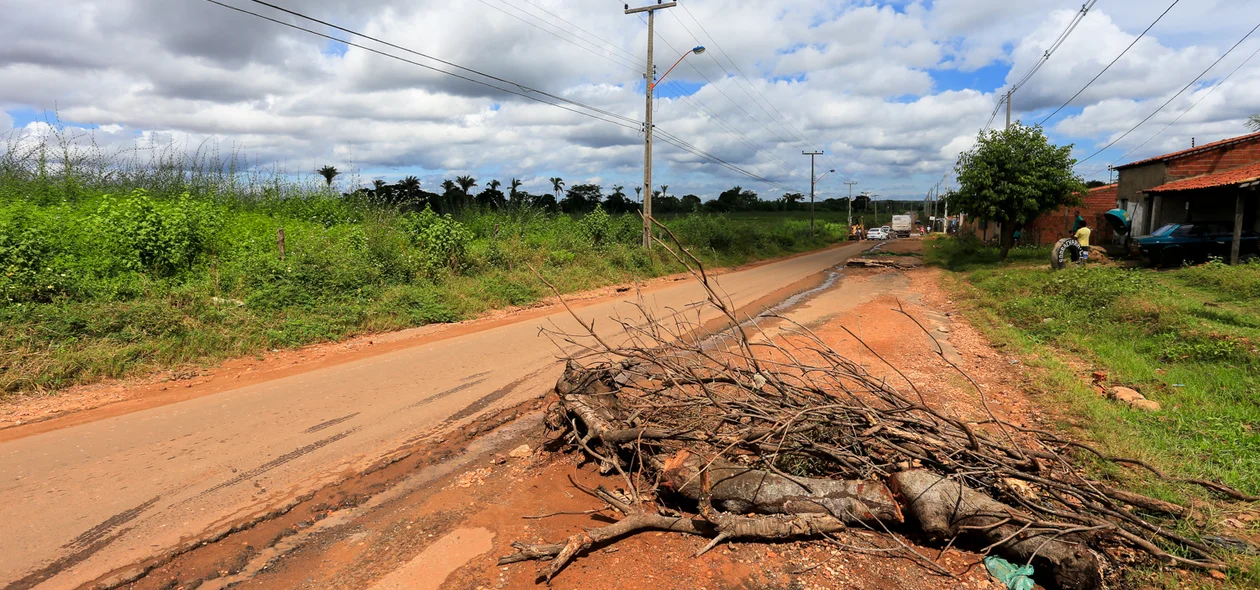Moradores jogam resto de árvores e entulhos na rua para evitar poeiras em suas casas