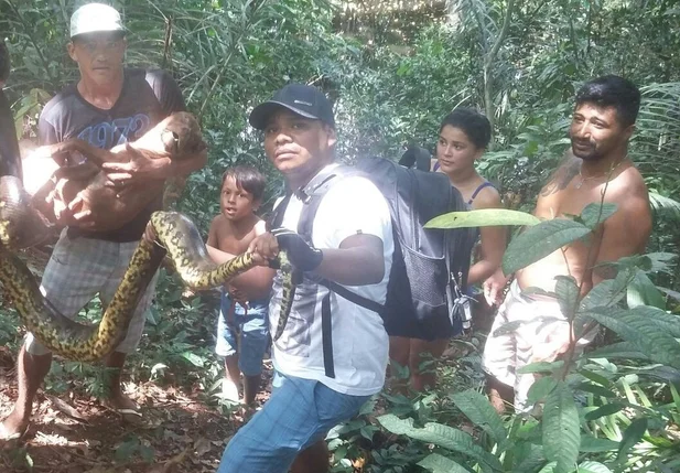 Cobra e pit bull mortos