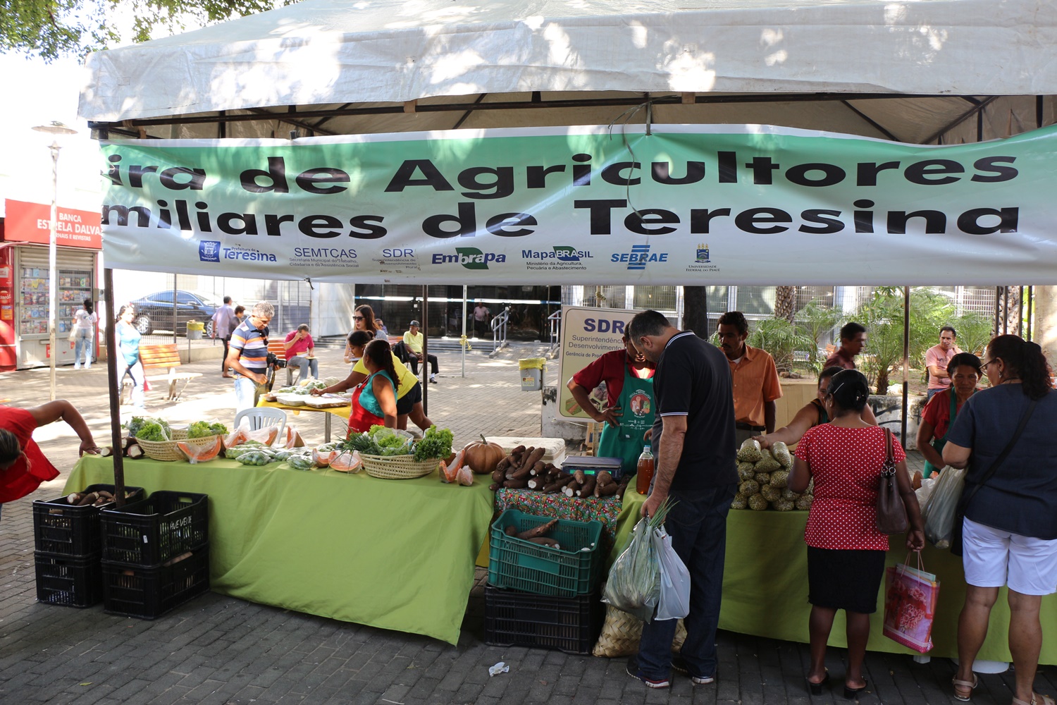 Feira de Agricultura em Teresina