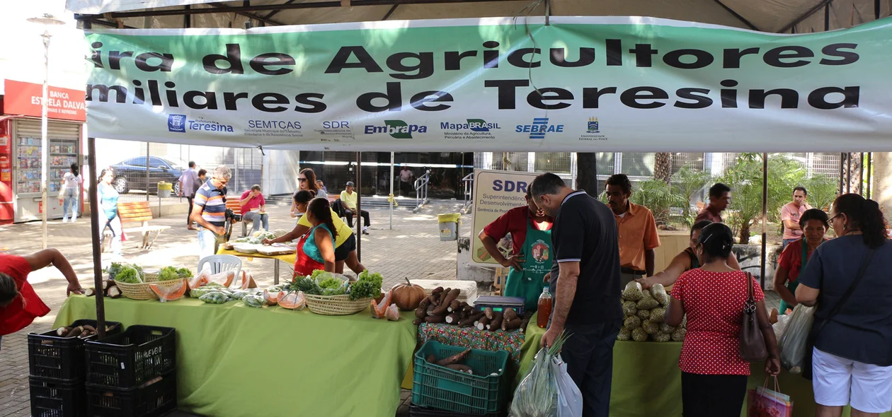 Feira de Agricultura em Teresina