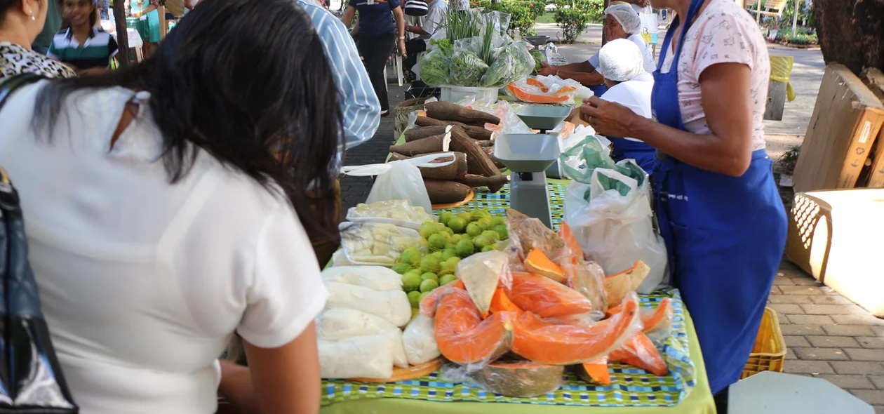 Feira na Praça Rio Branco