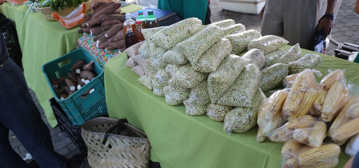 Produtos expostos na Feira 