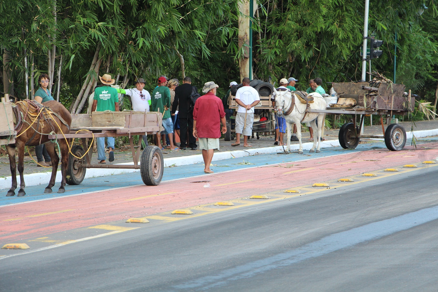 Carroceiros protestam contra projeto de lei em Teresina