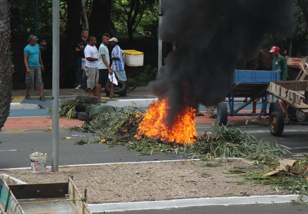Carroceiros protestam em frente à Câmara Municipal de Teresina