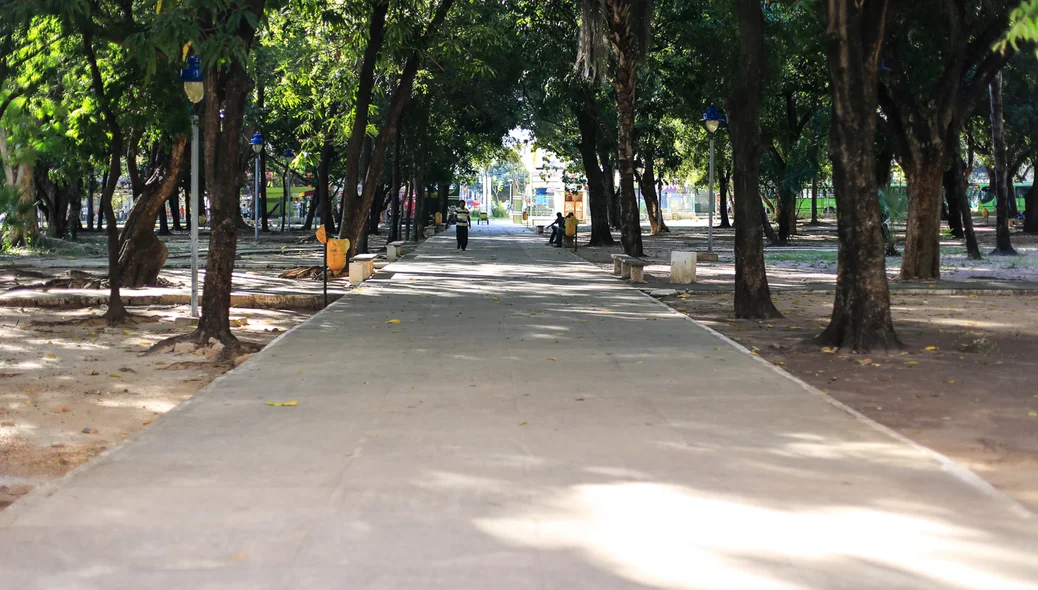 Lugar onde os tapetes são construídos 