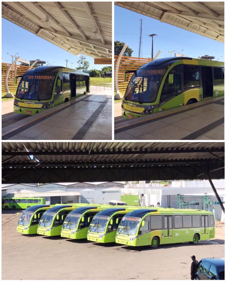 Novos ônibus BRT