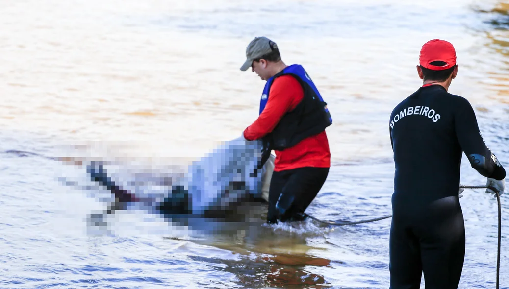 Bombeiros resgatam corpo de adolescente do rio Poti
