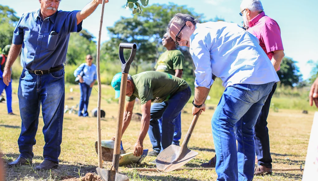 Prefeito Firmino Filho plantando mudas