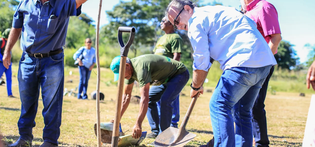 Prefeito Firmino Filho plantando mudas