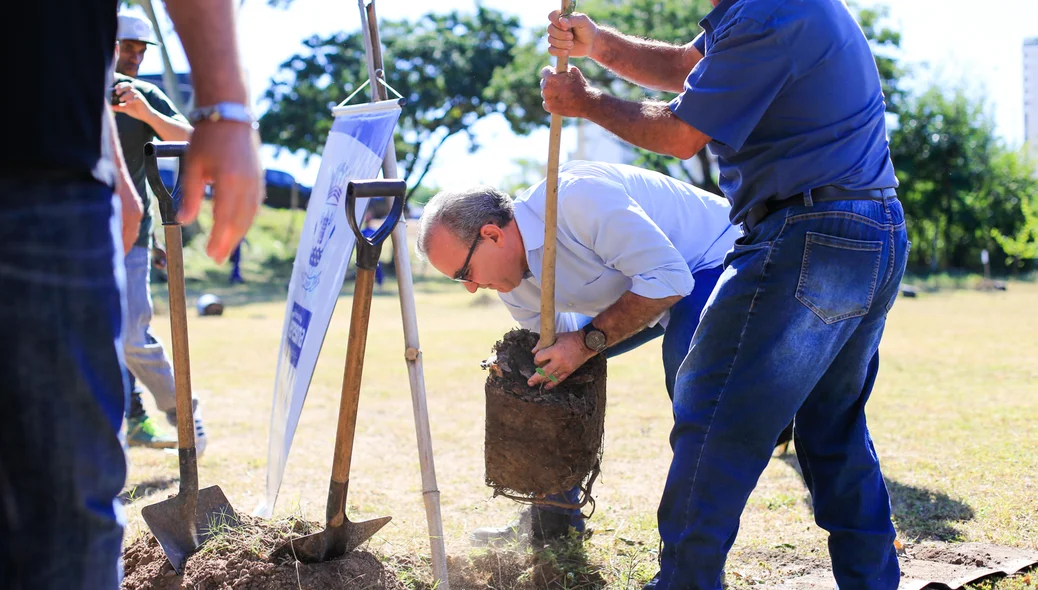 Prefeito Firmino Filho plantando