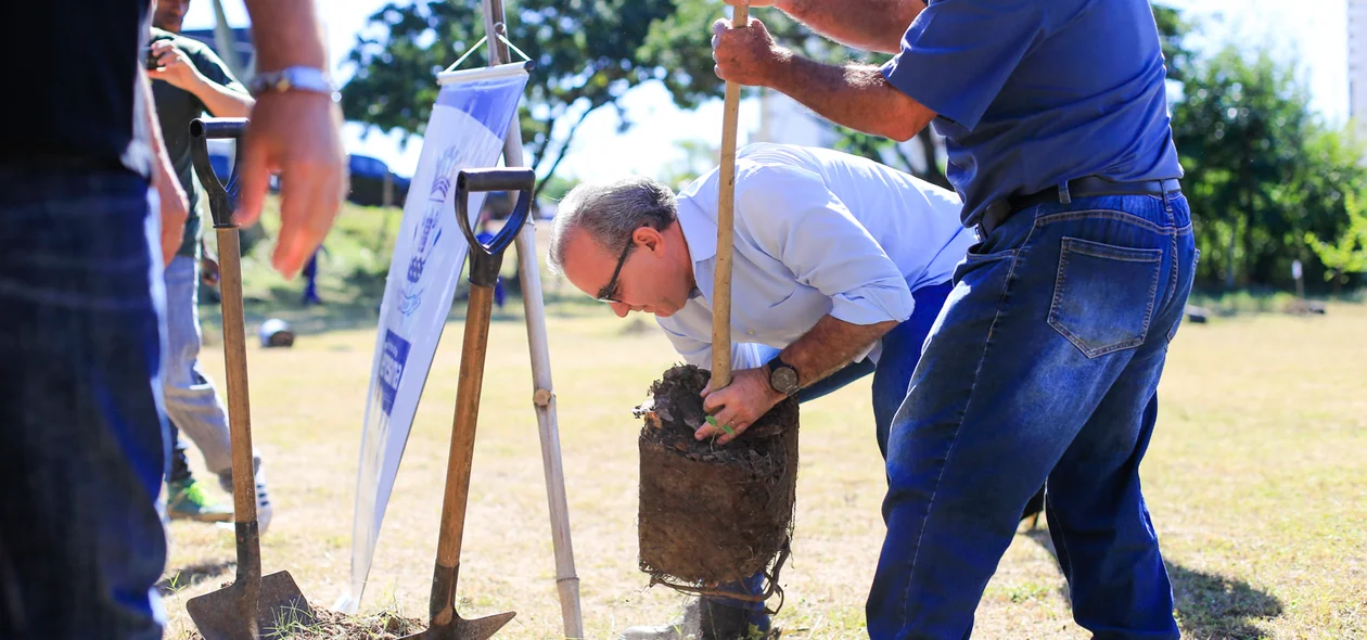 Prefeito Firmino Filho plantando