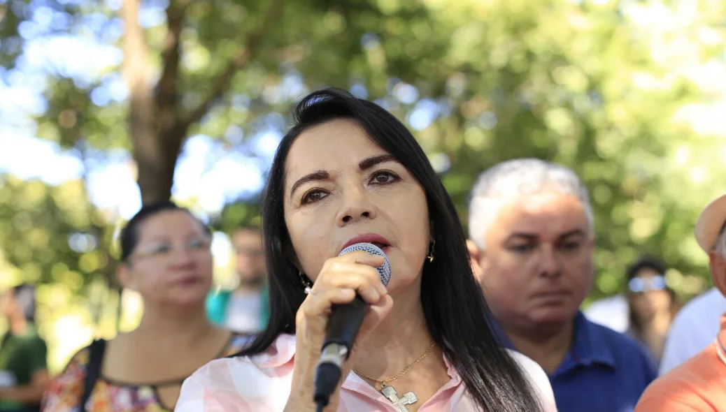 Vereadora Teresa Britto
