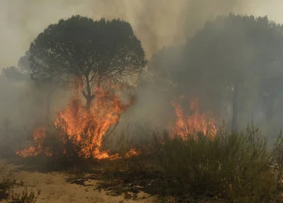Incêndio em floresta na Espanha leva à remoção de 2 mil pessoas