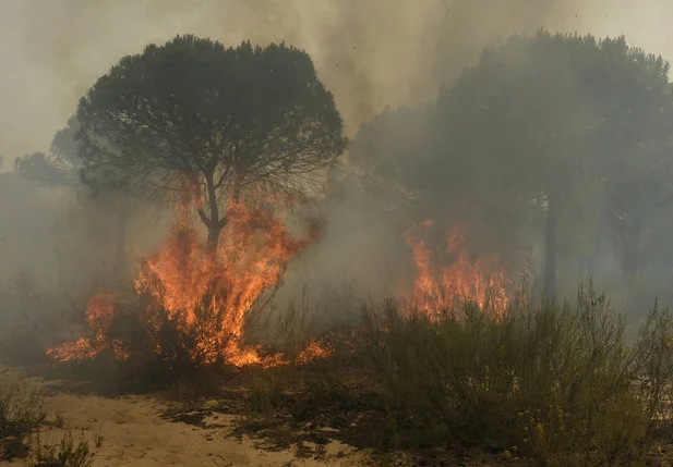 Incêndio em floresta na Espanha leva à remoção de 2 mil pessoas