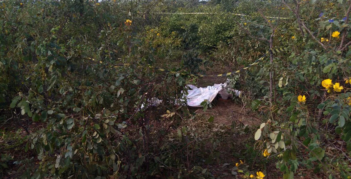 Um dos corpos foi encontrado longe da caminhonete e dentro de matagal