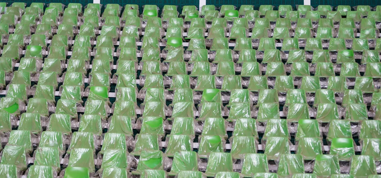 Novas cadeiras  