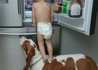 Bebê assalta a geladeira com seu cachorro