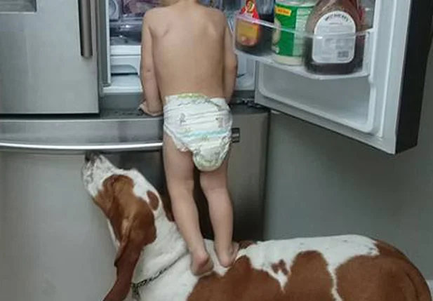 Bebê assalta a geladeira com seu cachorro