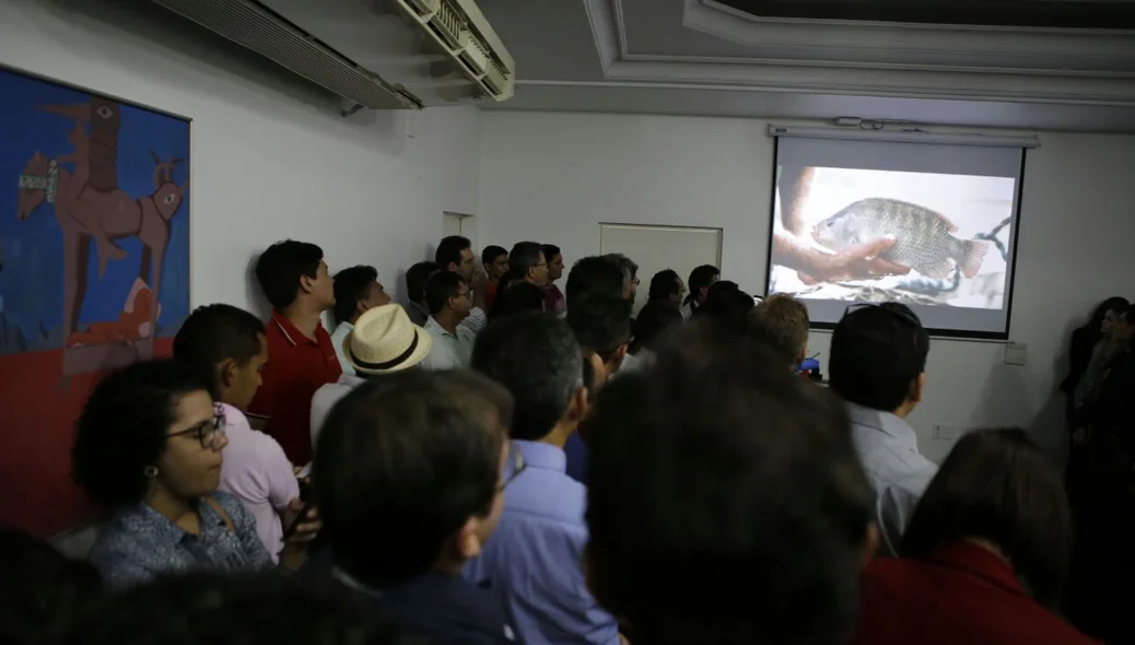 Apresentação durante lançamento