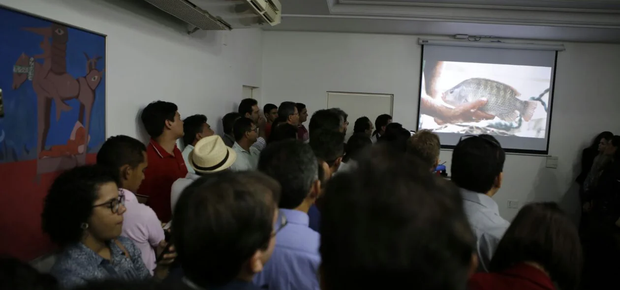 Apresentação durante lançamento