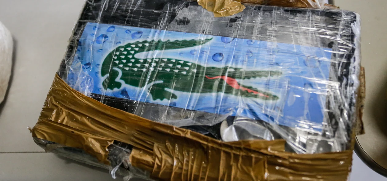 Cocaína apreendida 