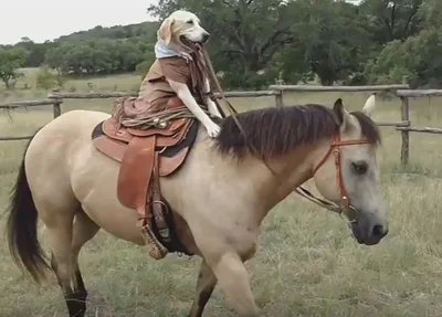 Maizey andando a cavalo