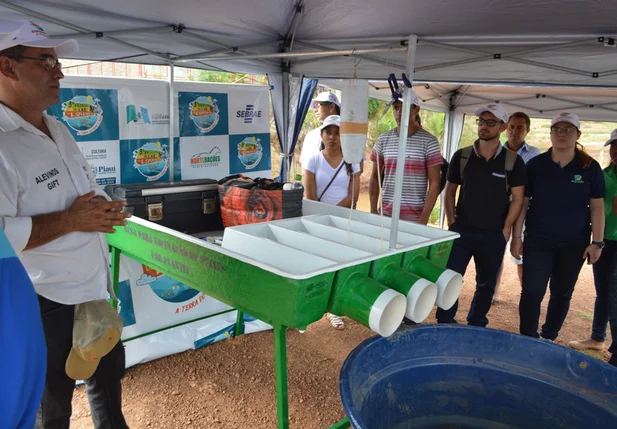 Dia do Campo em Esperantina