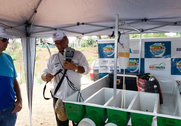 Dia do Campo em Esperantina