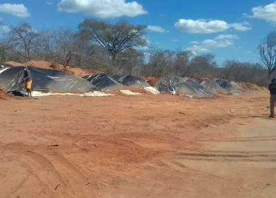 Areia contaminada foi isolada