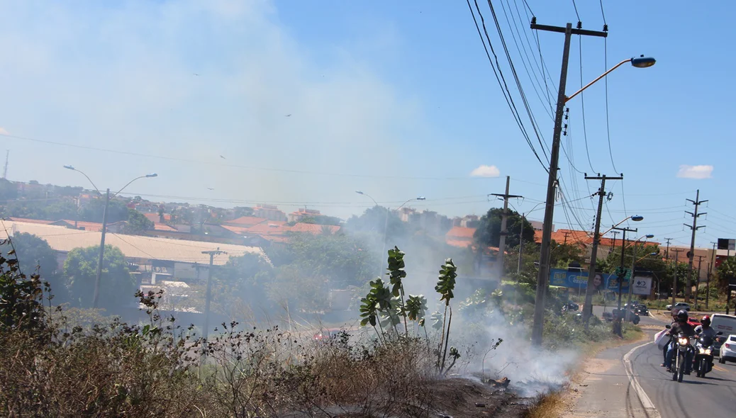 Fogo destruiu boa parte da vegetação próxima ao acostamento