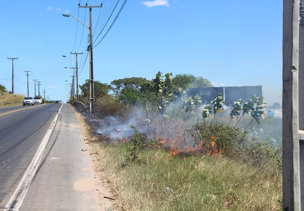 Bombeiros são acionados para fogo no acostamento da BR 343