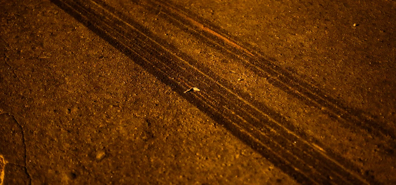 Marcas da freada do caminhão 
