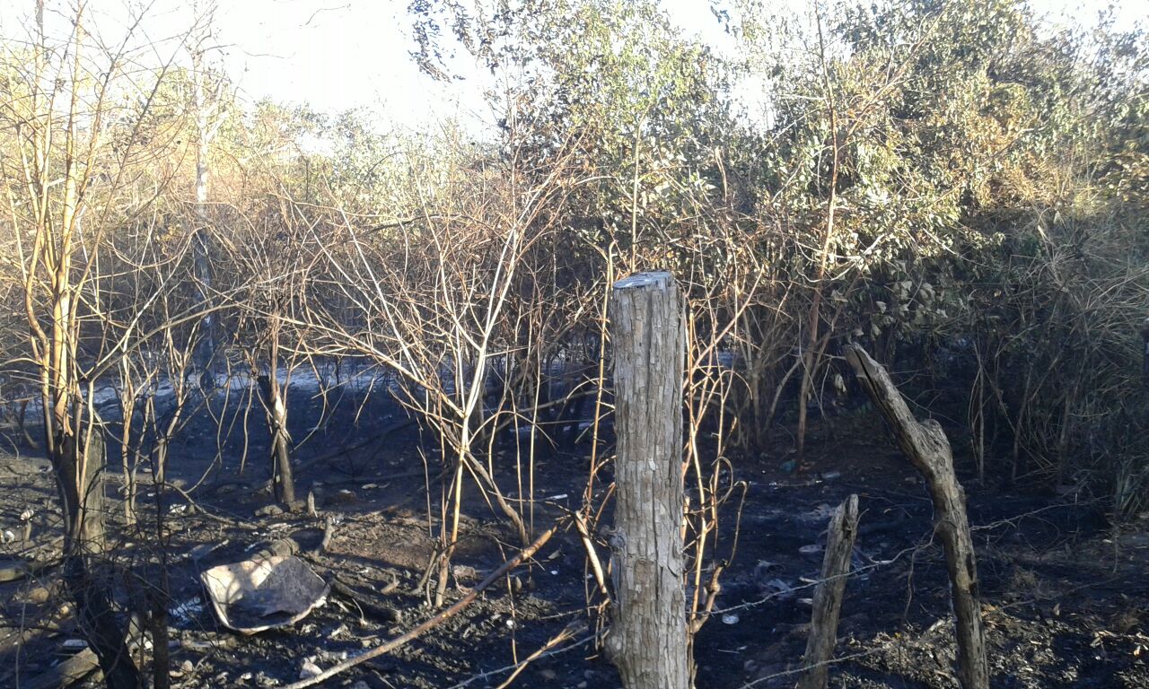Terreno onde o fogo começou 