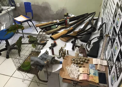 Material apreendido