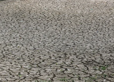 Seca no Piauí
